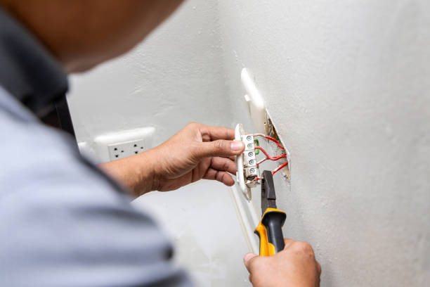 Best Affordable Electrician  in Carleton, MI