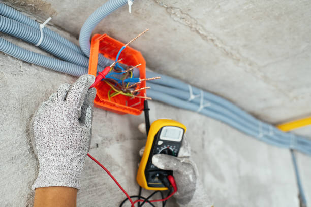 Best Residential Electrician Services  in Carleton, MI